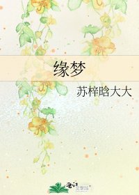 缘梦